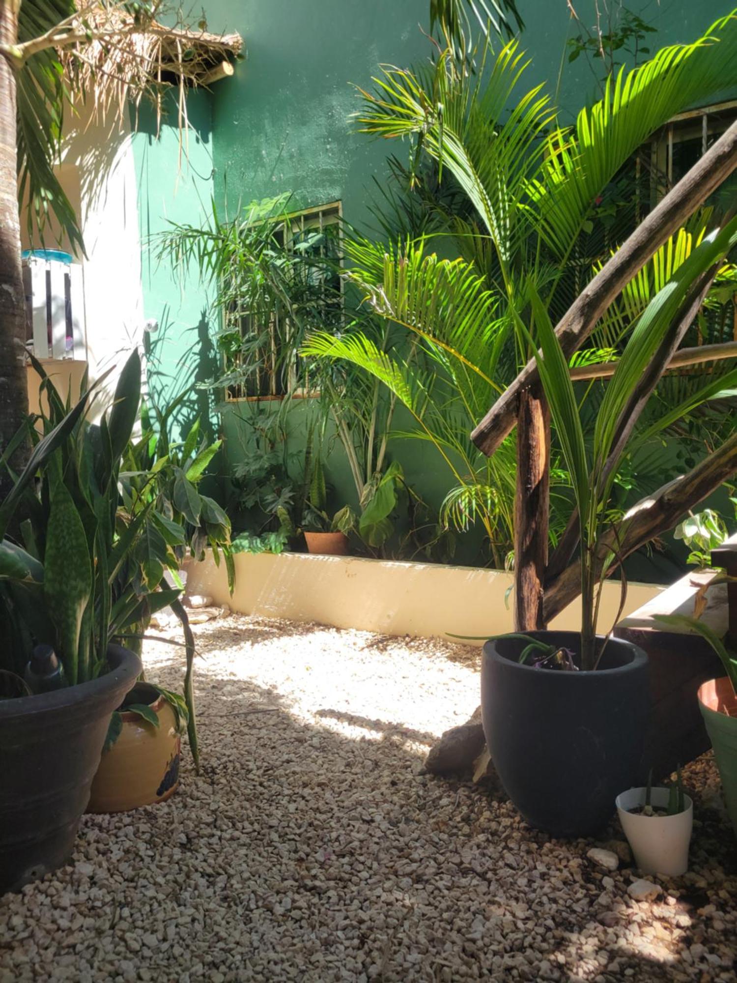 The Secret Garden Tulum Apartment Exterior photo